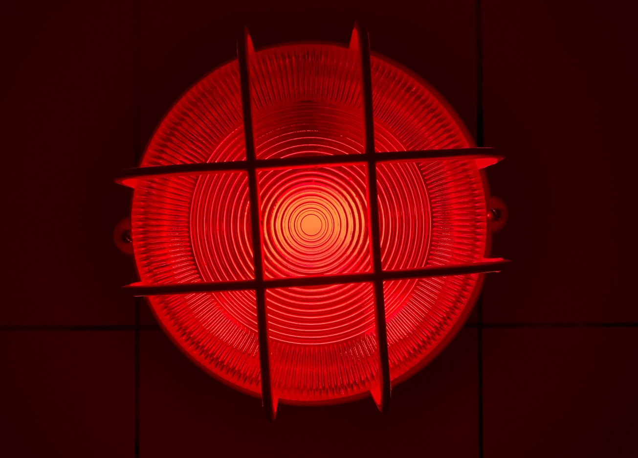 Photo by Tanya Rvacheva on Unsplash